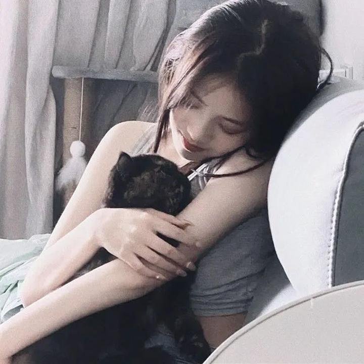 营救野猪队封面