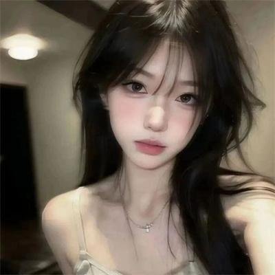 狐狸猎手封面
