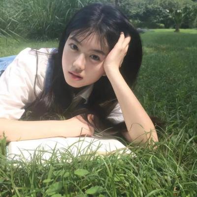 我的小牛与总统封面
